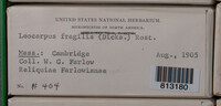 Image Associated With the Occurence